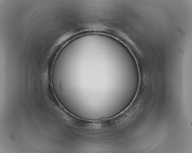 X0000111001315200906261450