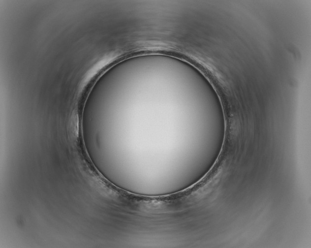 X0000111001317200906261450