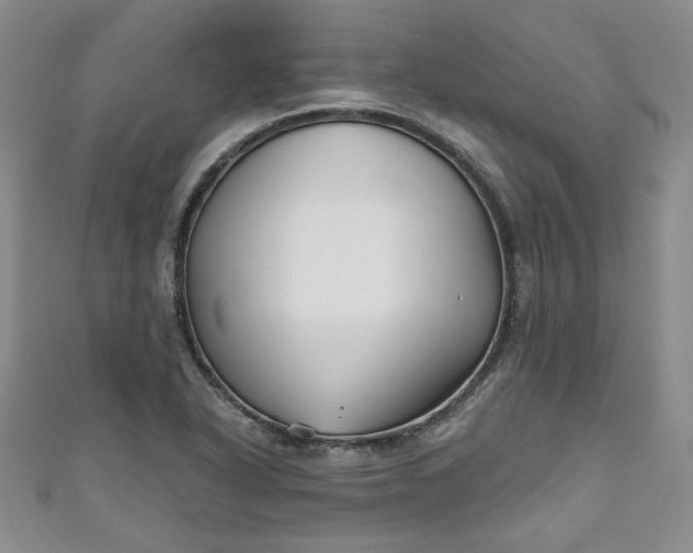 X0000111001318200906261450