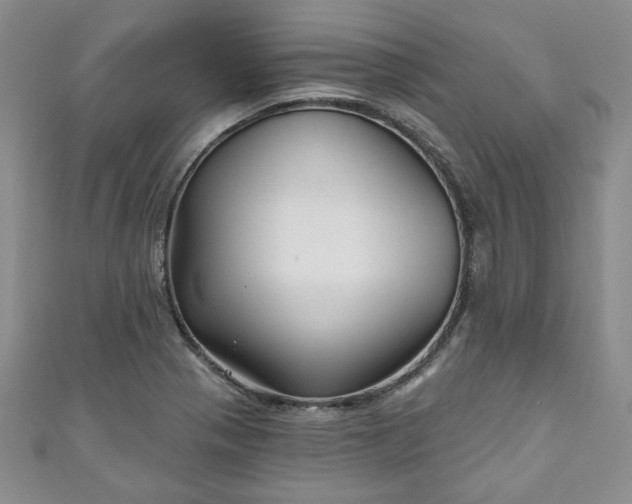 X0000111001321200906261450