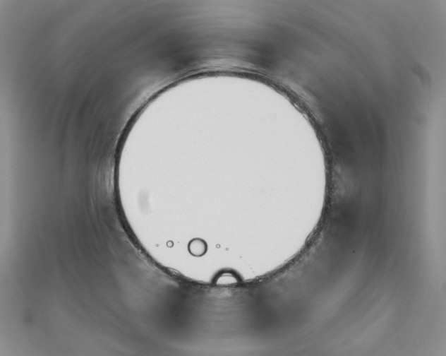 X0000111001322200906261450