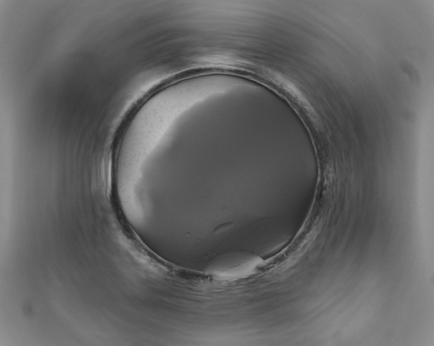 X0000111001323200906261450