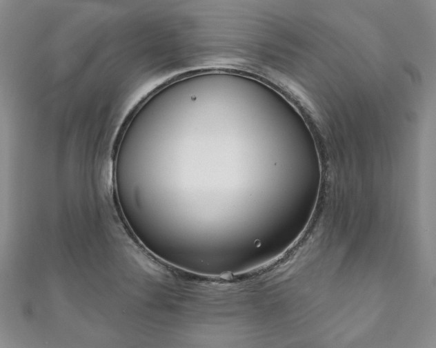 X0000111001324200906261450