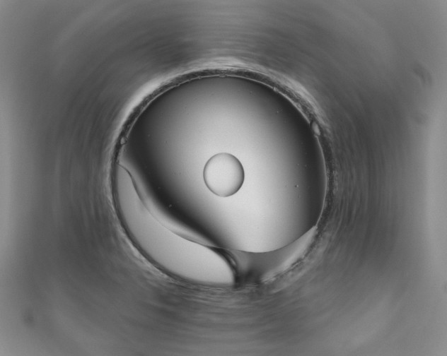 X0000111001326200906261450