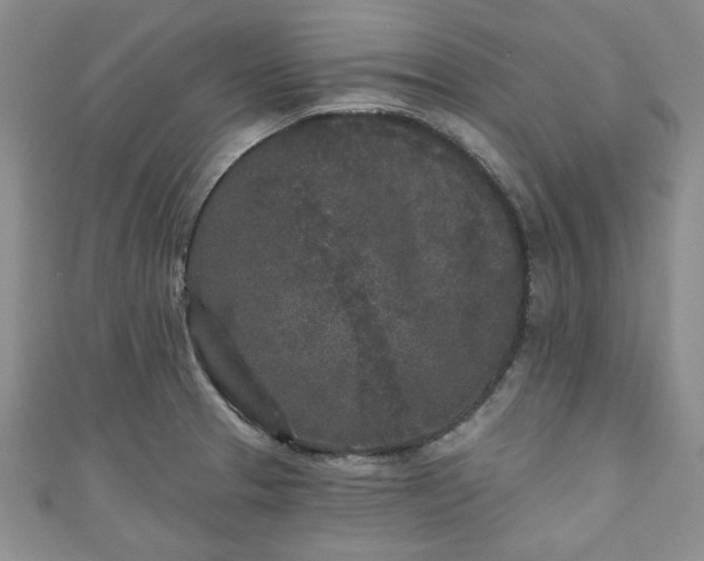 X0000111001329200906261451