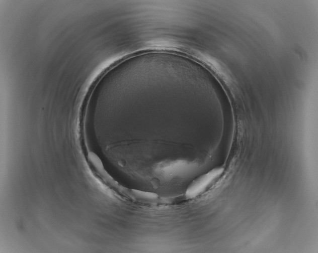 X0000111001331200906261451