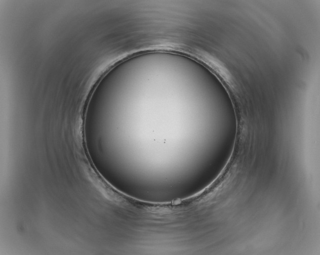 X0000111001332200906261451