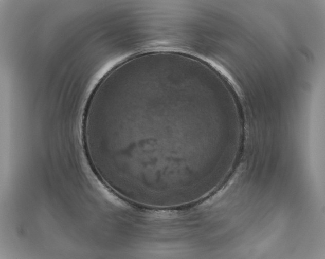 X0000111001333200906261451