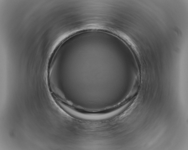 X0000111001334200906261451