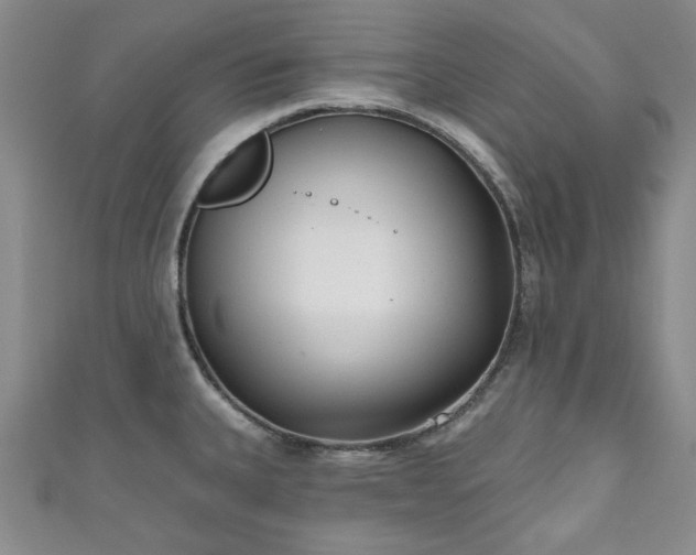 X0000111001335200906261451