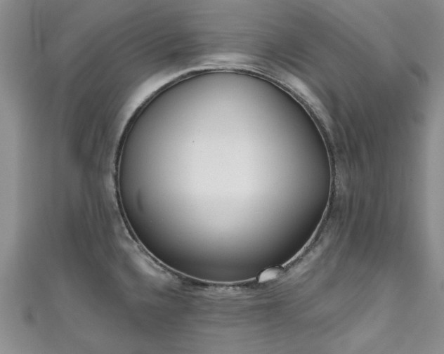 X0000111001336200906261451