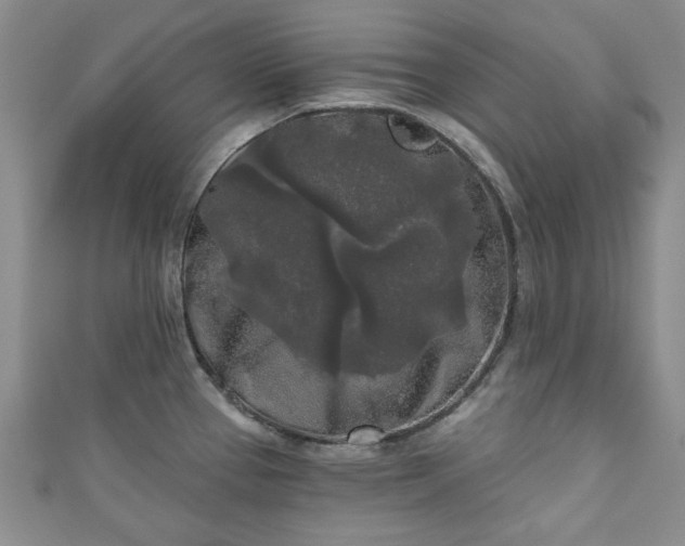 X0000111001337200906261451