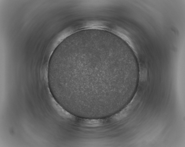 X0000111001338200906261451