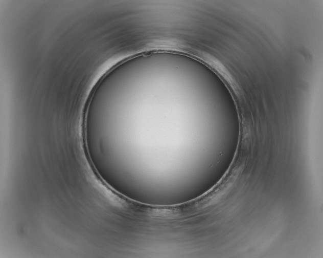 X0000111001339200906261451