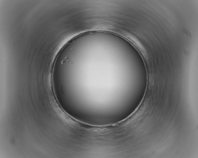 X0000111001340200906261451