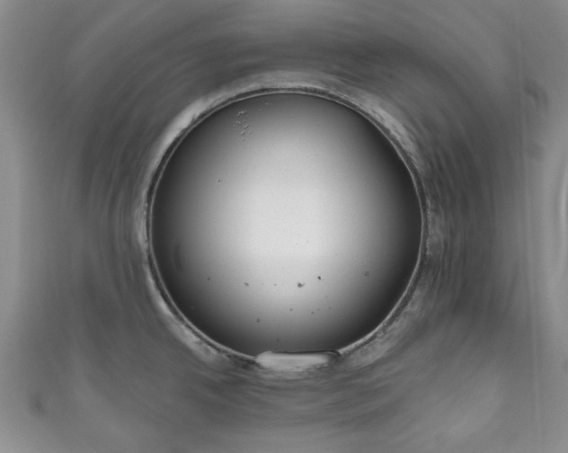 X0000111001342200906261451