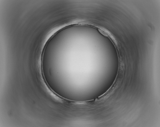 X0000111001343200906261451