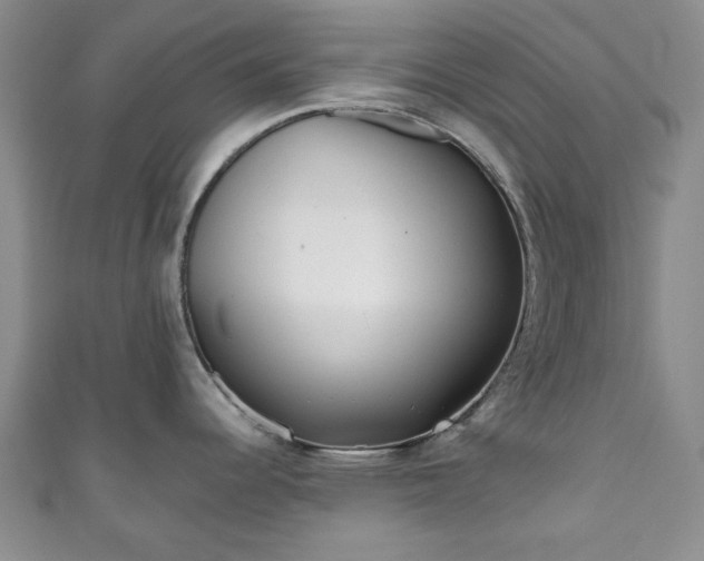 X0000111001344200906261451