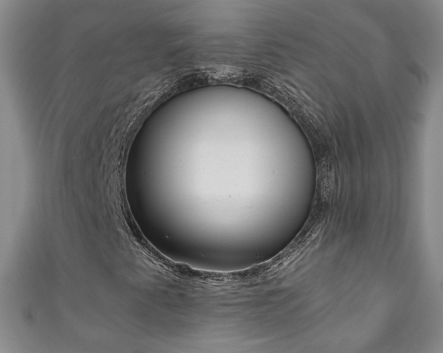 X0000111001345200906261450