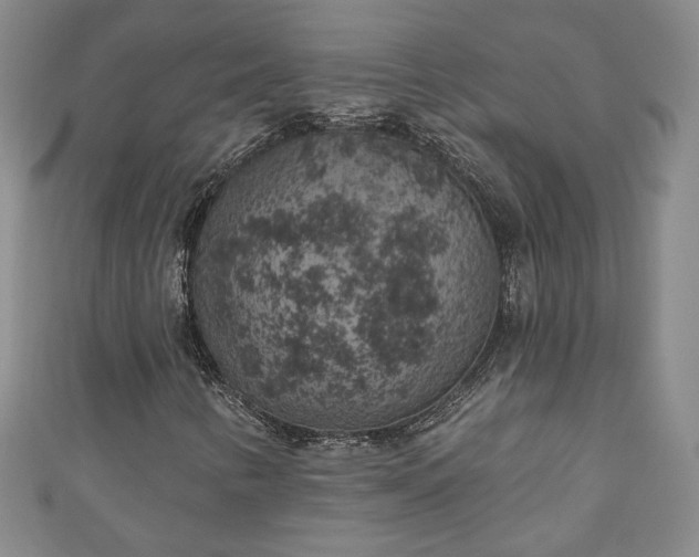 X0000111001346200906261450