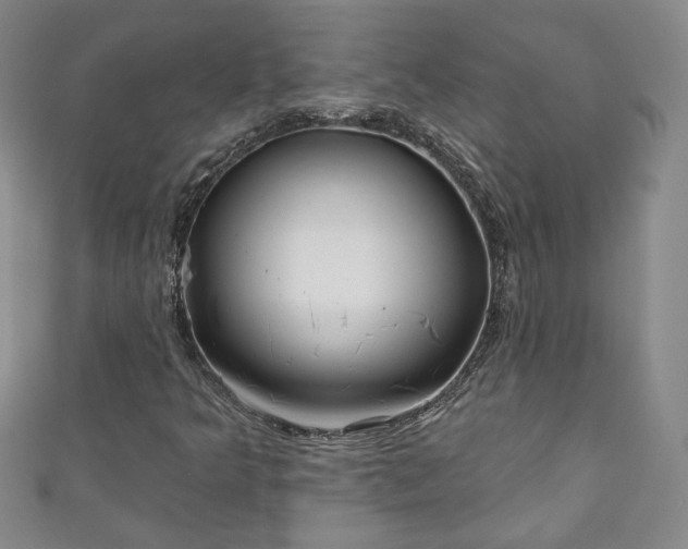 X0000111001349200906261450