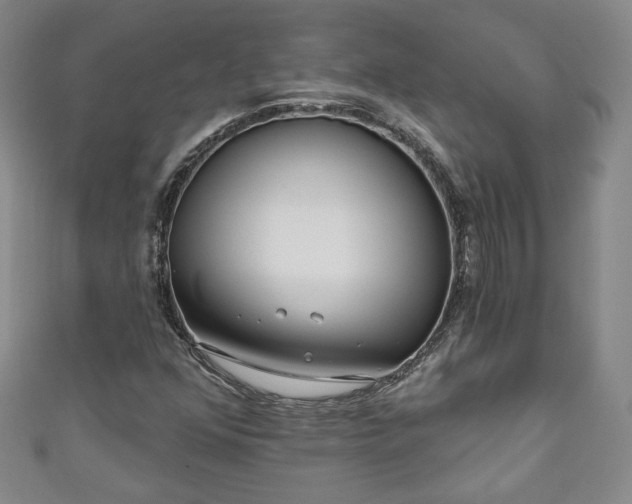 X0000111001352200906261450