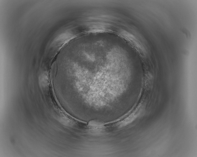 X0000111001353200906261450