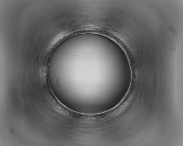 X0000111001355200906261450