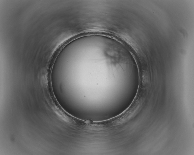 X0000111001356200906261450