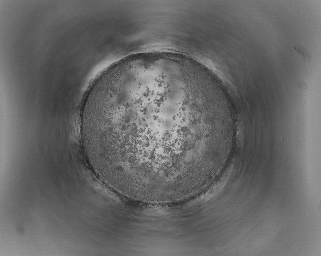 X0000111001358200906261450