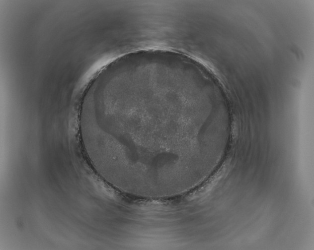 X0000111001359200906261450