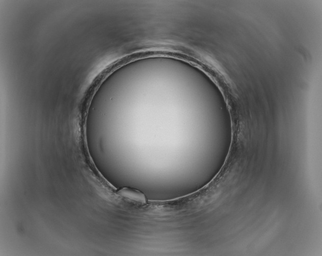 X0000111001360200906261450