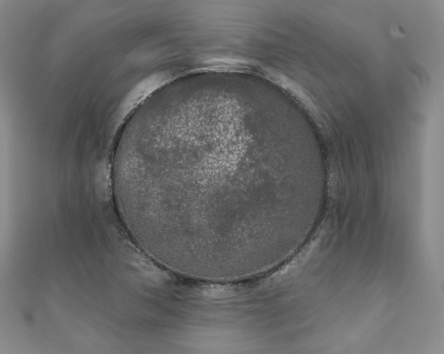 X0000111001362200906261450