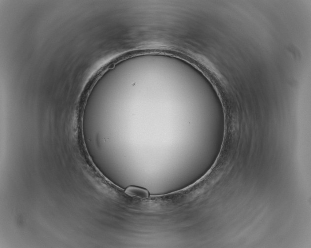 X0000111001364200906261450