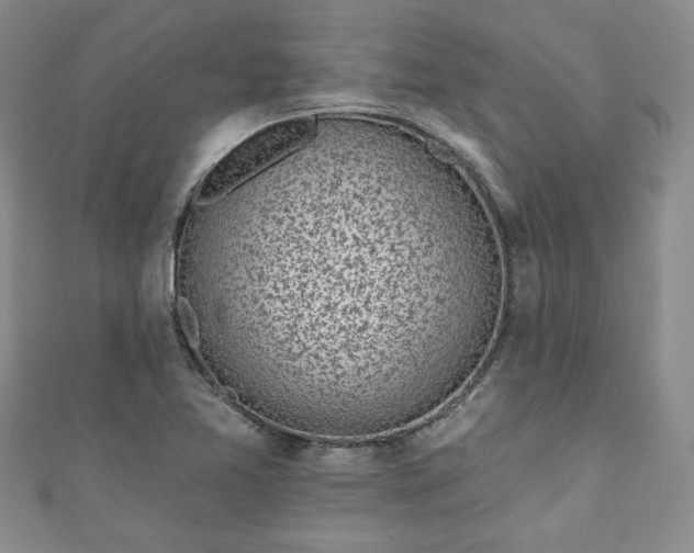 X0000111001365200906261450