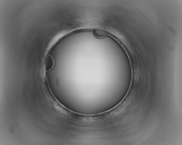 X0000111001366200906261450