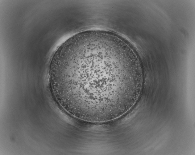 X0000111001367200906261450
