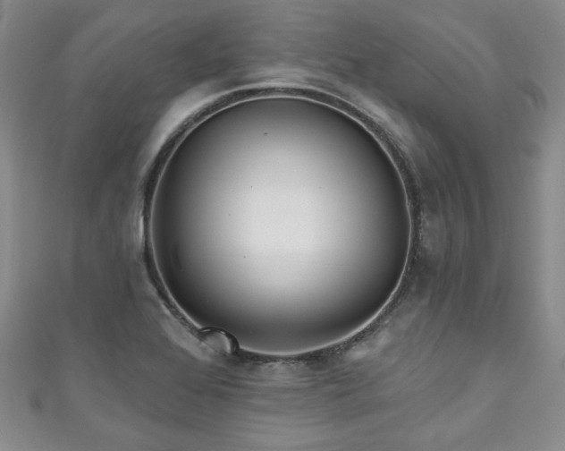 X0000111001368200906261450