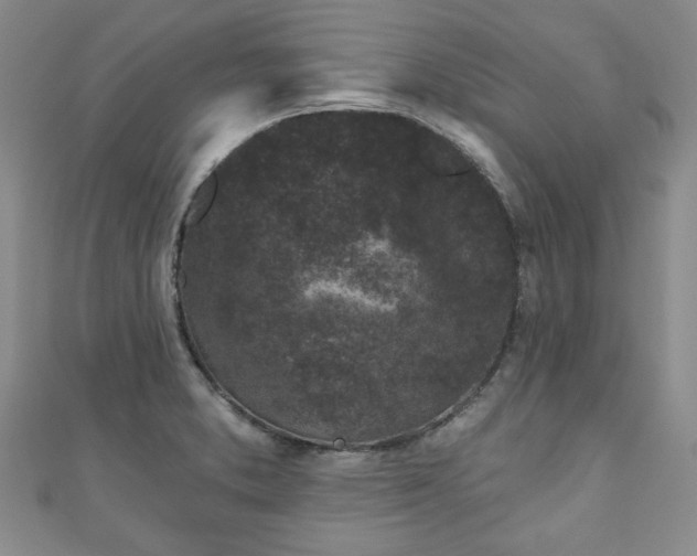 X0000111001373200906261450