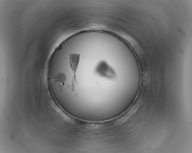X0000111001374200906261450