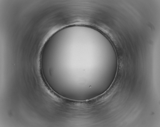 X0000111001375200906261450