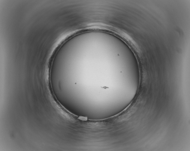 X0000111001376200906261450