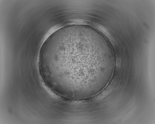 X0000111001378200906261450