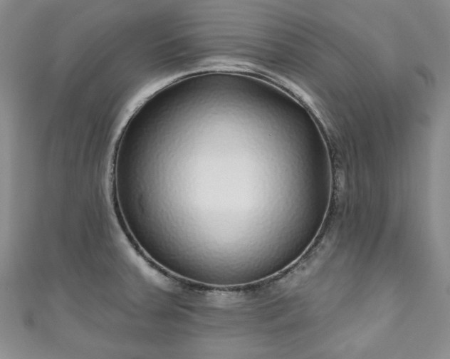 X0000111001379200906261450