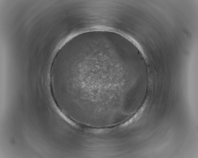 X0000111001381200906261450