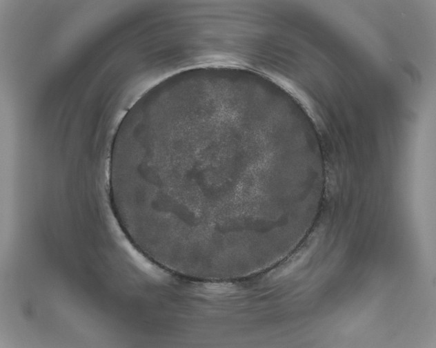 X0000111001383200906261450