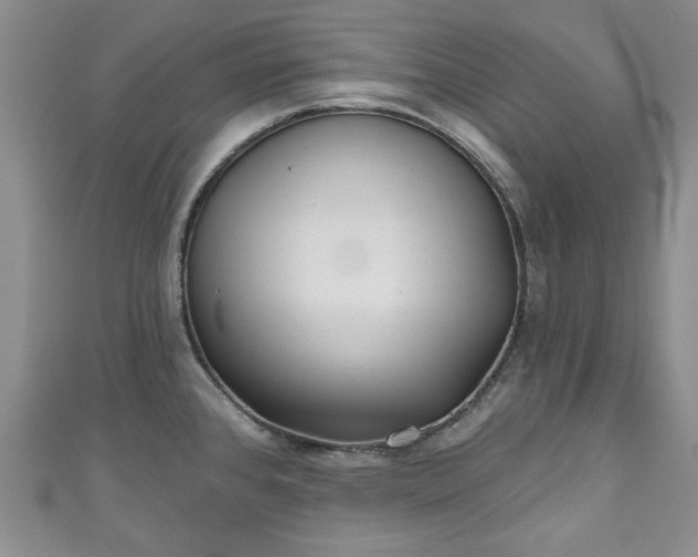 X0000111001384200906261450