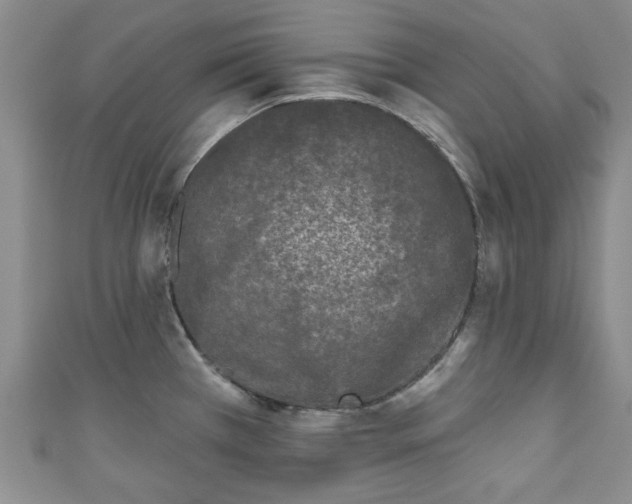 X0000111001385200906261450