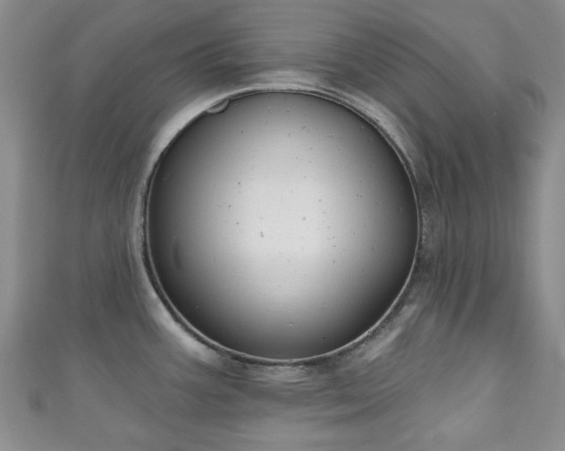 X0000111001387200906261450