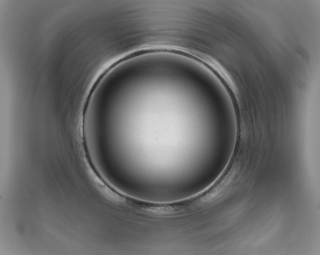 X0000111001388200906261450